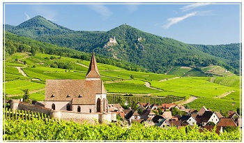 French Language Course